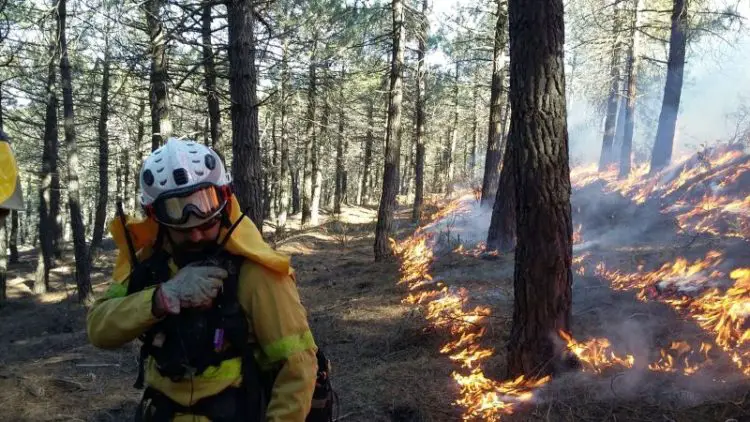 De junio a agosto se han incorporado al dispositivo que lucha contra los incendios forestales más de 650 profesionales.