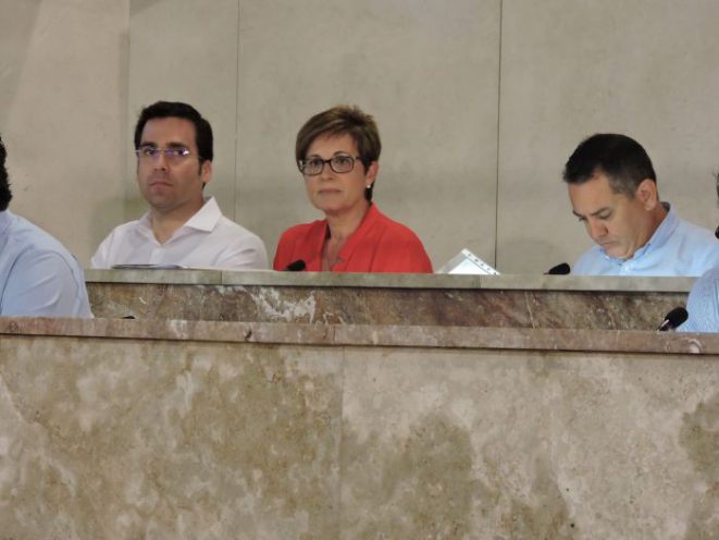 La portavoz del PSOE justifica su petición en el Pleno del Ayuntamiento a tenor del informe elaborado por un perito informático.