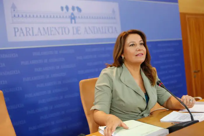 Carmen Crespo recalca que el Plan de Choque dota de “transparencia” al impuesto finalista que vienen pagando los andaluces.