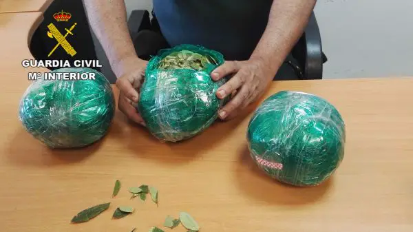 La Guardia Civil localiza las hojas de coca durante el reconocimiento habitual de equipajes de pasajeros procedentes del vuelo Bolivia-Madrid. La Guardia Civil encontró en su equipaje facturado tres bolsas de plástico, con un total de 3078 gramos de hojas de coca.