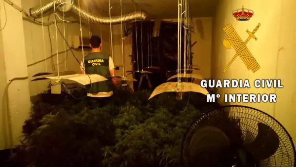 Además se ha detenido a cuatro personas y se han localizado 279 plantas de marihuana.