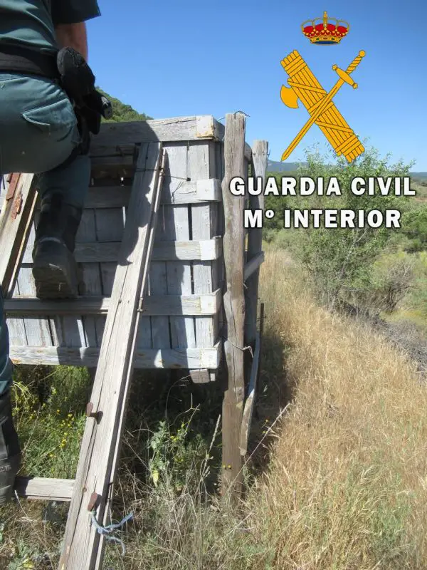 Agentes de la Guardia Civil de Almería proceden a la aprehensión de una jaula trampa colocada estratégicamente entre vegetación, obligando el paso de las especies por el interior de la misma.