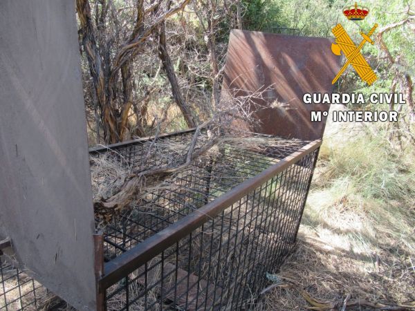 La Guardia Civil localiza la jaula en un Coto de Caza ubicado en el término municipal de Abrucena, (Almería)dentro del PARQUE NATURAL SIERRRA NEVADA.