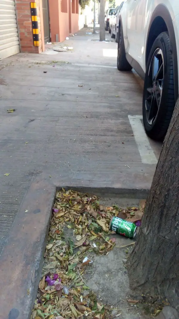 Lata de cerveza arrojado al pie de un árbol en la Calle América en el corto tramo desde la Plaza España a Avda. Cabo de Gata.