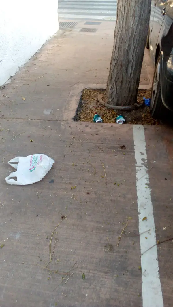 Lata de cerveza bolsa de plástico arrojados al pie de un árbol en la Calle América en el corto tramo desde la Plaza España a Avda. Cabo de Gata.