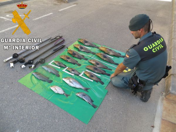 La Guardia Civil pone a disposición de la autoridad competente el material utilizado por los Investigados, (fusil de pesca, traje de neopreno, gafas, aletas, escarpines y lastre).