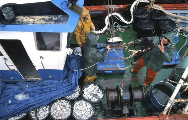 Crespo solicita “criterios uniformes” de la normativa relativa a infracciones, que provoca la exclusión de pescadores del acceso a subvenciones.