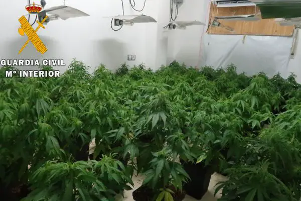 En una de las viviendas que era por donde se accedía, se han localizado hasta 5 estancias subterráneas a distintos niveles dedicadas al cultivo indoor de marihuana.