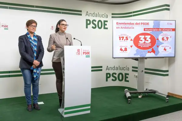 El PSOE reclama al Gobierno andaluz 33 millones de euros en los Presupuestos de 2020 para la ciudad de Almería.