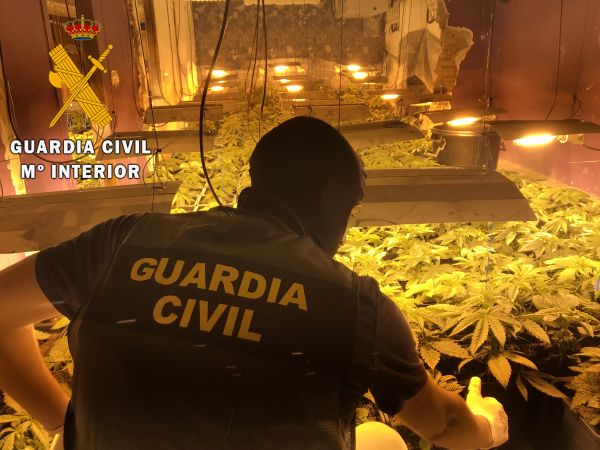 El cultivo es localizado en una vivienda ocupada de Roquetas de Mar. Los agentes han localizado 114 plantas de marihuana, 22 balastros, 22 focos de alta capacidad y un enganche ilegal a la red.