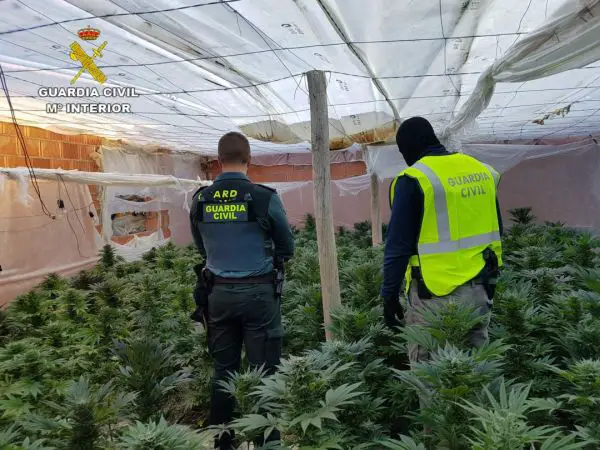 Como resultado de estas intervenciones, la Guardia Civil ha detenido 206 personas relacionadas con la plantación, elaboración y distribución de marihuana.