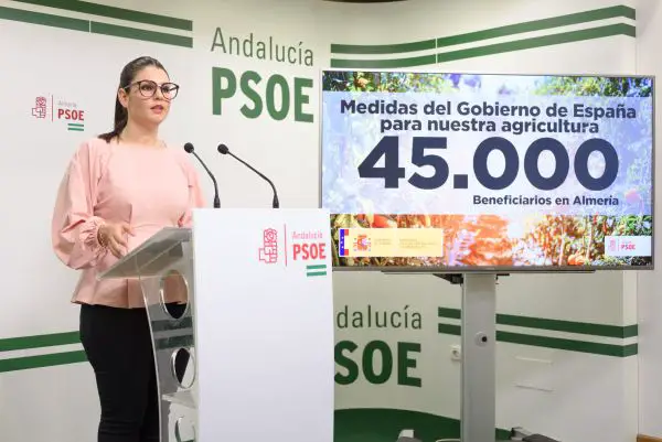 El PSOE destaca que las medidas aprobadas por el Gobierno de Pedro Sánchez beneficiarán a 45.000 almerienses.