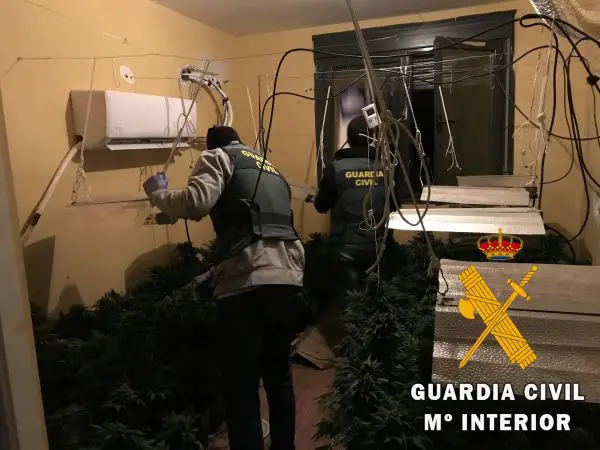 La Guardia Civil haya en una vivienda un cultivo indoor de marihuana (cannabis sátiva). Los Agentes intervienen 88 plantas de marihuana, 11 lámparas con sus bombillas, 11 balastros, 1 A/A,1 extractor con filtro y 12 reflectores.