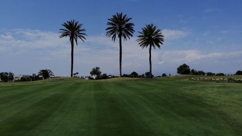 La Asociación trabaja en propuestas que pongan en valor el golf como actividad turística que se practica al aire libre y sin contacto, además de contribuir a la salud física y mental