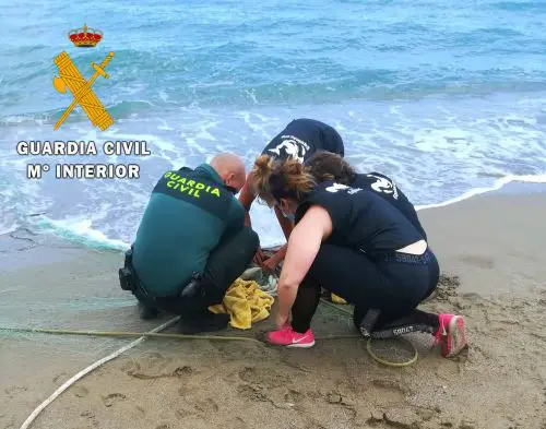 Los agentes observan como tres personas manipulando una red a escasos metros de la playa. A su llegada comprueban que se trata de miembros de la ONG Equinac que se encuentran intentando liberar un “Cormorán Moñudo” atrapado en una red abandonada.