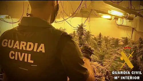 Colaboración Guardia Civil-Endesa-Hidralia en Operación “Mareplant”. Además del delito contra la salud pública, se les imputan los delitos de defraudación al fluido eléctrico e hídrico por un cultivo indoor de marihuana.