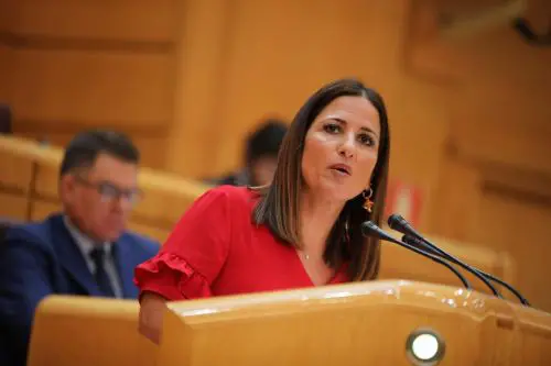 El PSOE lamenta que Cs lleve al Senado una “disparatada” propuesta de refuerzo online con estudiantes de magisterio.