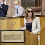 Según detalla la diputada de Ciudadanos por Almería en el Parlamento andaluz, la ‘consejería naranja’ de Igualdad, Conciliación y Políticas Sociales invertirá más de 700.000 euros en la contratación de 22 administrativos y 16 trabajadores sociales