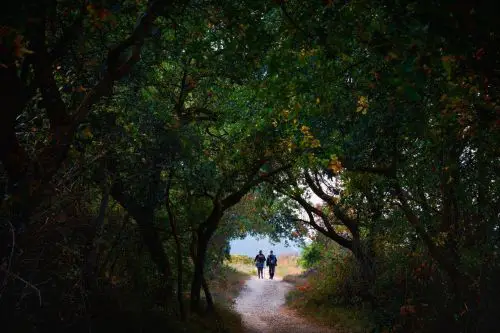 La fotografía de Miguel Ángel Godoy Águila que muestra a dos peregrinos en un tramo de bosque, ha obtenido el segundo premio del concurso “Camino Sostenible” entre más de 1.500 imágenes.