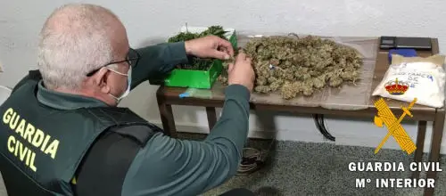 Los agentes intervienen una plantación indoor de marihuana en un domicilio del municipio de Vícar. Además de las plantas, también se incauta Metanfetamina y cogollos de marihuana envasados al vacío.
