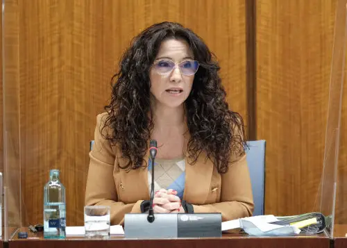 Rocío Ruiz presenta en comisión parlamentaria el Informe Anual en materia de violencia de género en Andalucía de 2019.