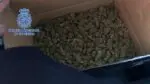 Enviaban marihuana a través de empresas de paquetería. La sustancia iba distribuida en dos paquetes de grandes dimensiones.