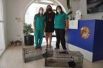 Vanesa Fuentes: “Se trata de un proyecto muy demandado para el que contamos con la colaboración de voluntarias y de la clínica veterinaria”