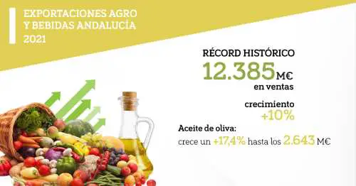 La agroindustria andaluza aporta 7.257 millones de superávit con el exterior a la economía regional, y 1€ de cada 5€ que vende España Incremento del 17,5% en las exportadoras hasta alcanzar las 4.380
