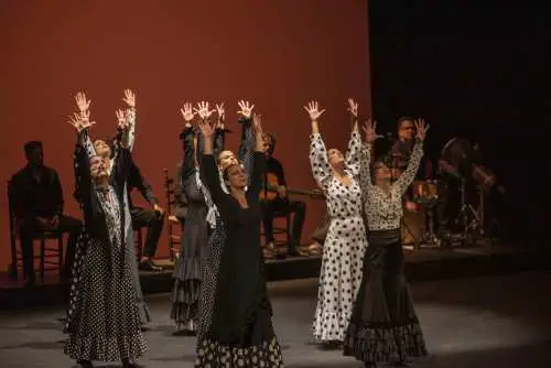 Las áreas de Cultura e Igualdad del Ayuntamiento de Almería y Entre Flamencos del Puerto organizan este evento que será en el Auditorio a las 20.30 horas.