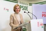 La diputada del PSOE subraya que el Ejecutivo de Pedro Sánchez inyectará 1.000 millones de euros en ayudas directas y reducirá el precio del gasóleo