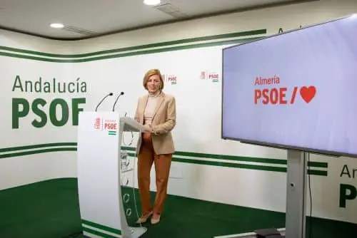 El PSOE destaca la “firme apuesta” del Gobierno de España por mejorar y renovar las carreteras de la provincia