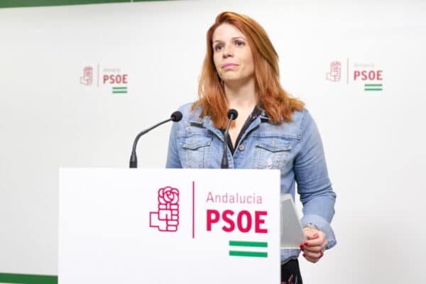 El PSOE exige al alcalde del PP que “deje de mentir” y de “manipular” respecto al Grupo Socialista
