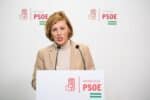 El PSOE propone fomentar la adhesión al VioGén de todas las administraciones locales que aún no lo estén